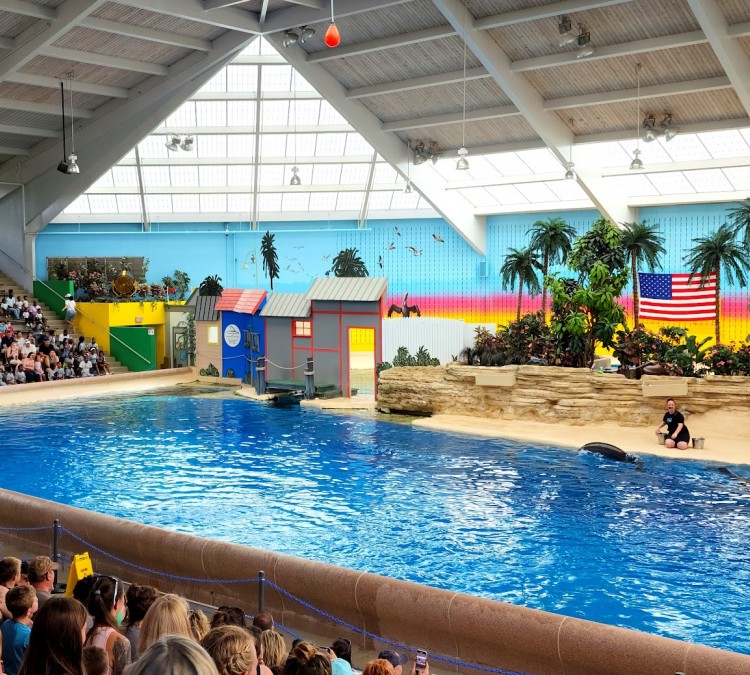 Dolphin Shows (Brookfield,&nbspIL)